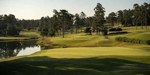 Forest Hills Golf Club