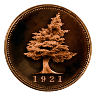 Cliffhangers - Big Cedar Lodge