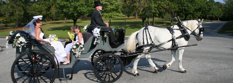 Beau Rivage Golf & Resort Wedding